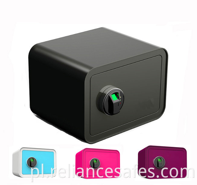 Biometric Fingerprint Lock Safe Box